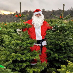 Rattan Wreath with Light Up Gonk 33cm